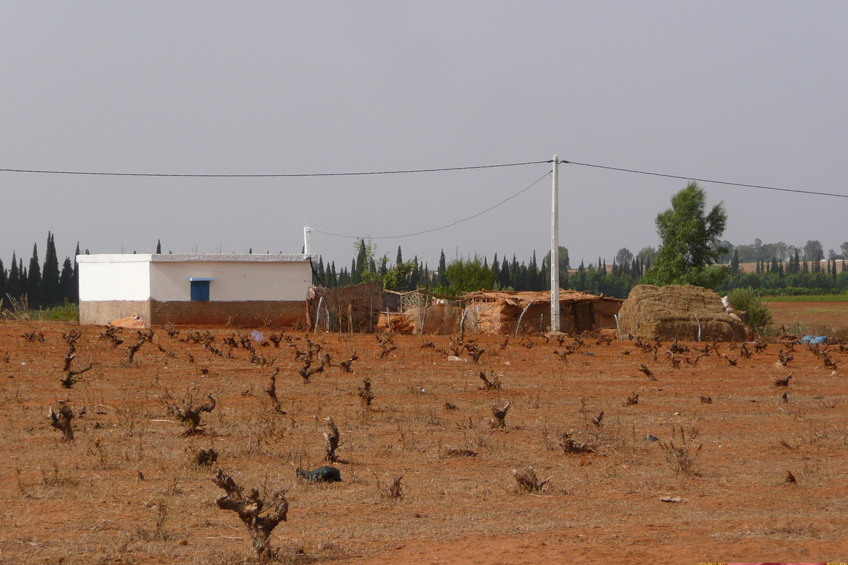 照片 摩洛哥(Morocco) 非斯至拉巴特公路(Fes to Rabat Road) 2008-07 59