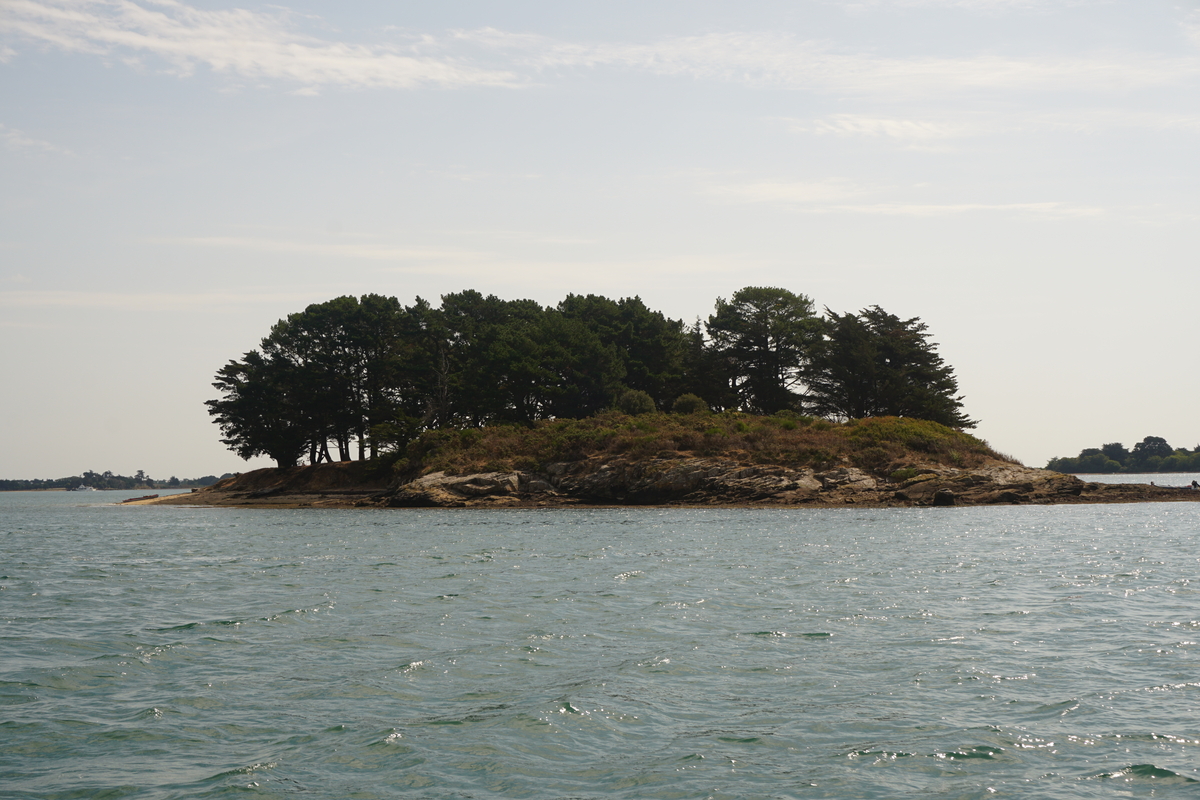 照片 法国(France) 莫尔比昂湾(Golfe du Morbihan) 2016-08 92