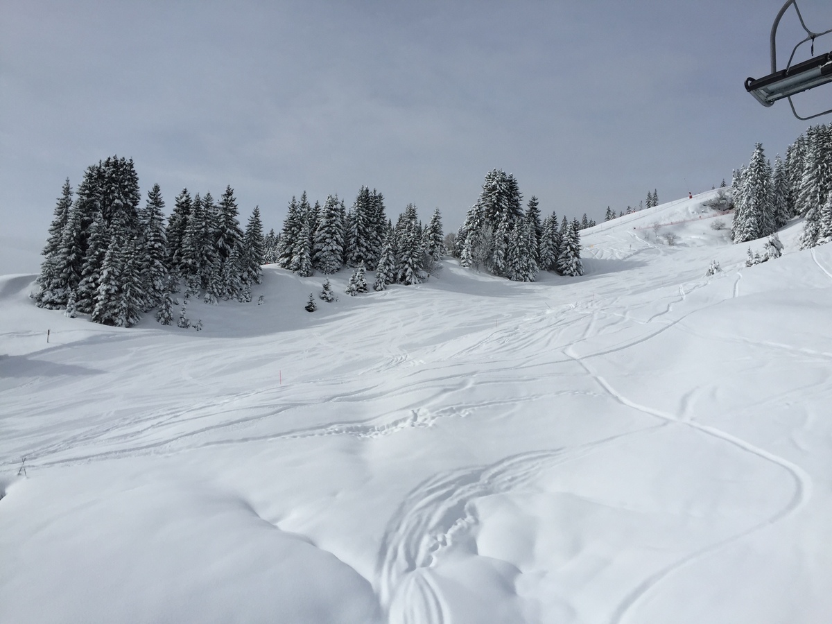 照片 法国(France) 梅杰夫(Megeve) 2016-02 18