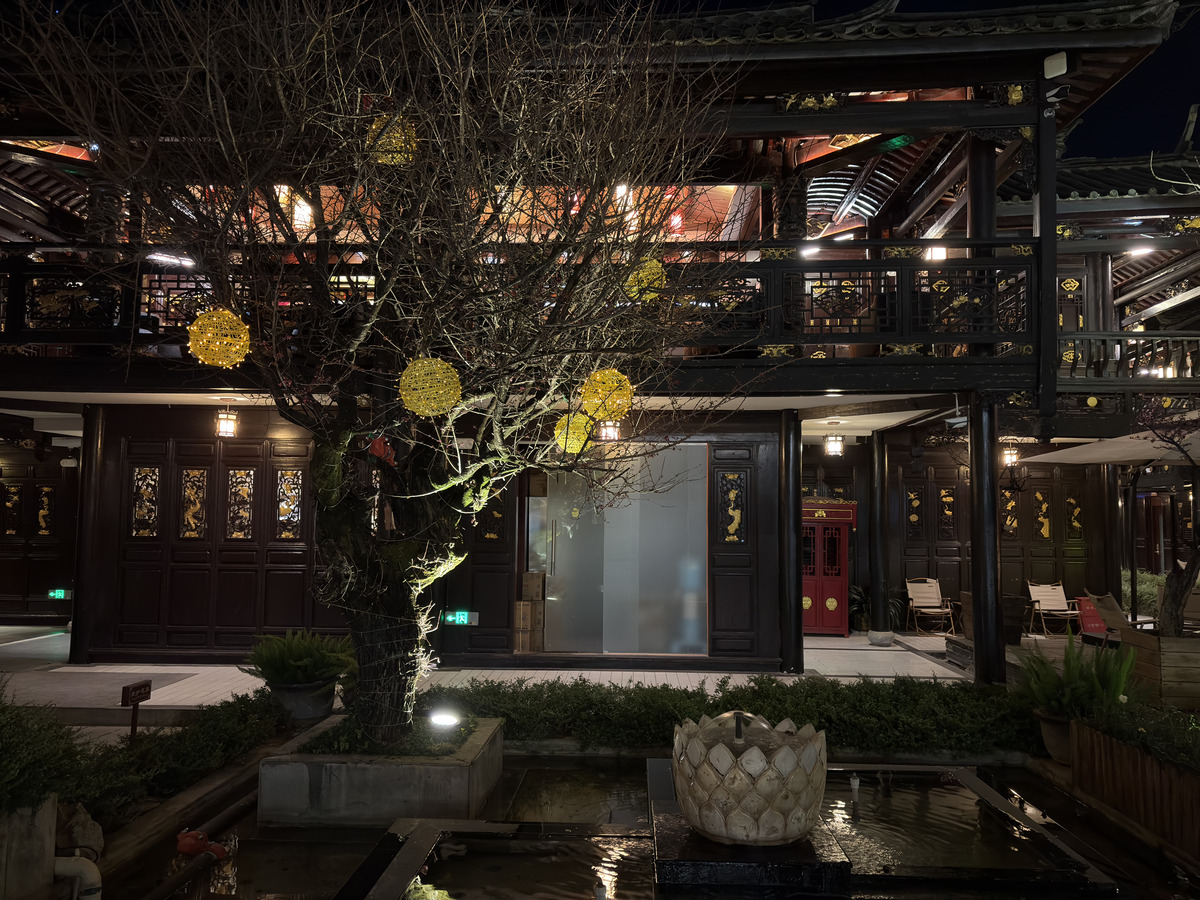 照片 中国(China) 丽江(Lijiang) 2026-01 486