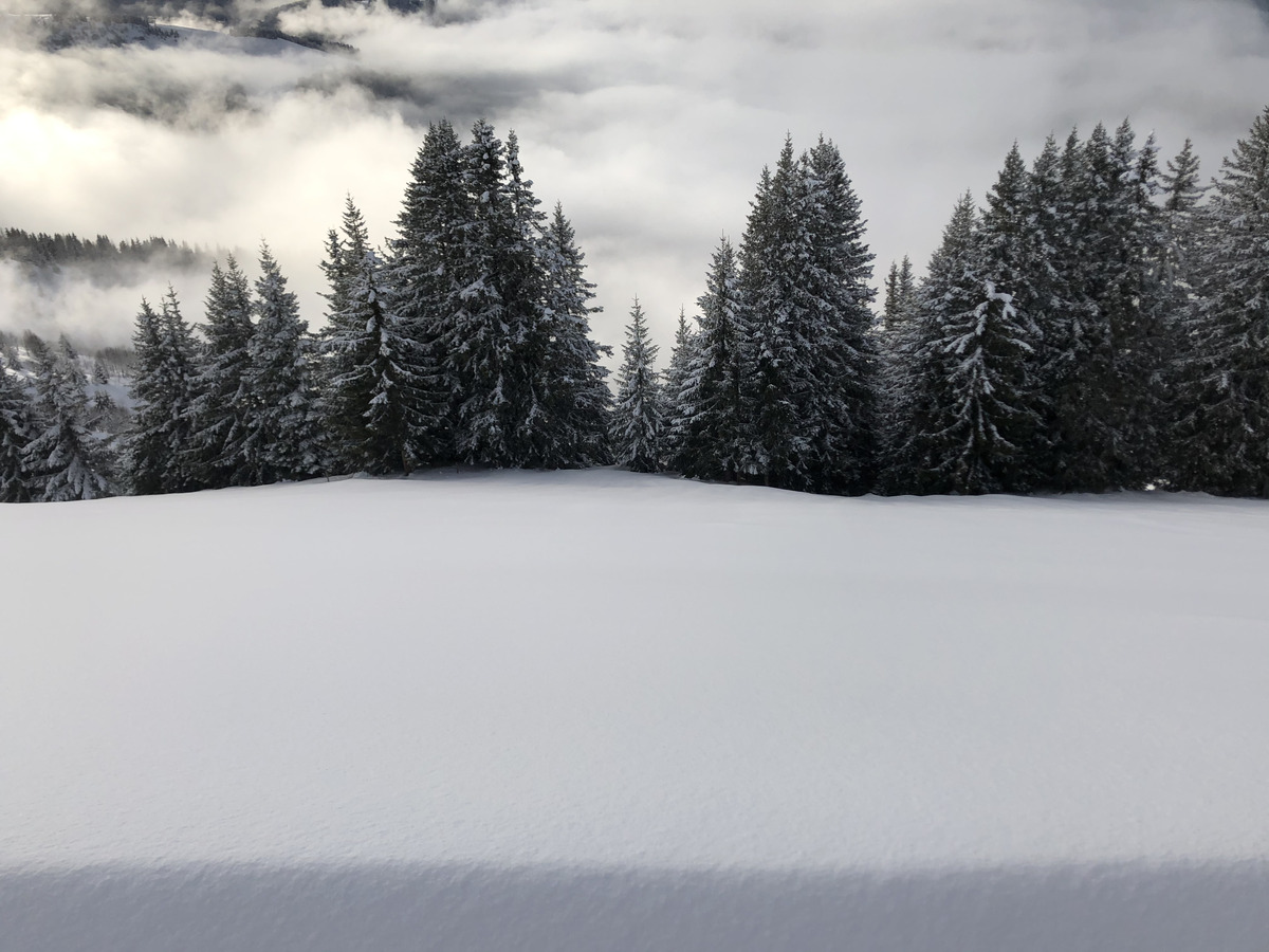 照片 法国(France) 阿尔利河畔普拉(Praz sur Arly) 2019-12 190