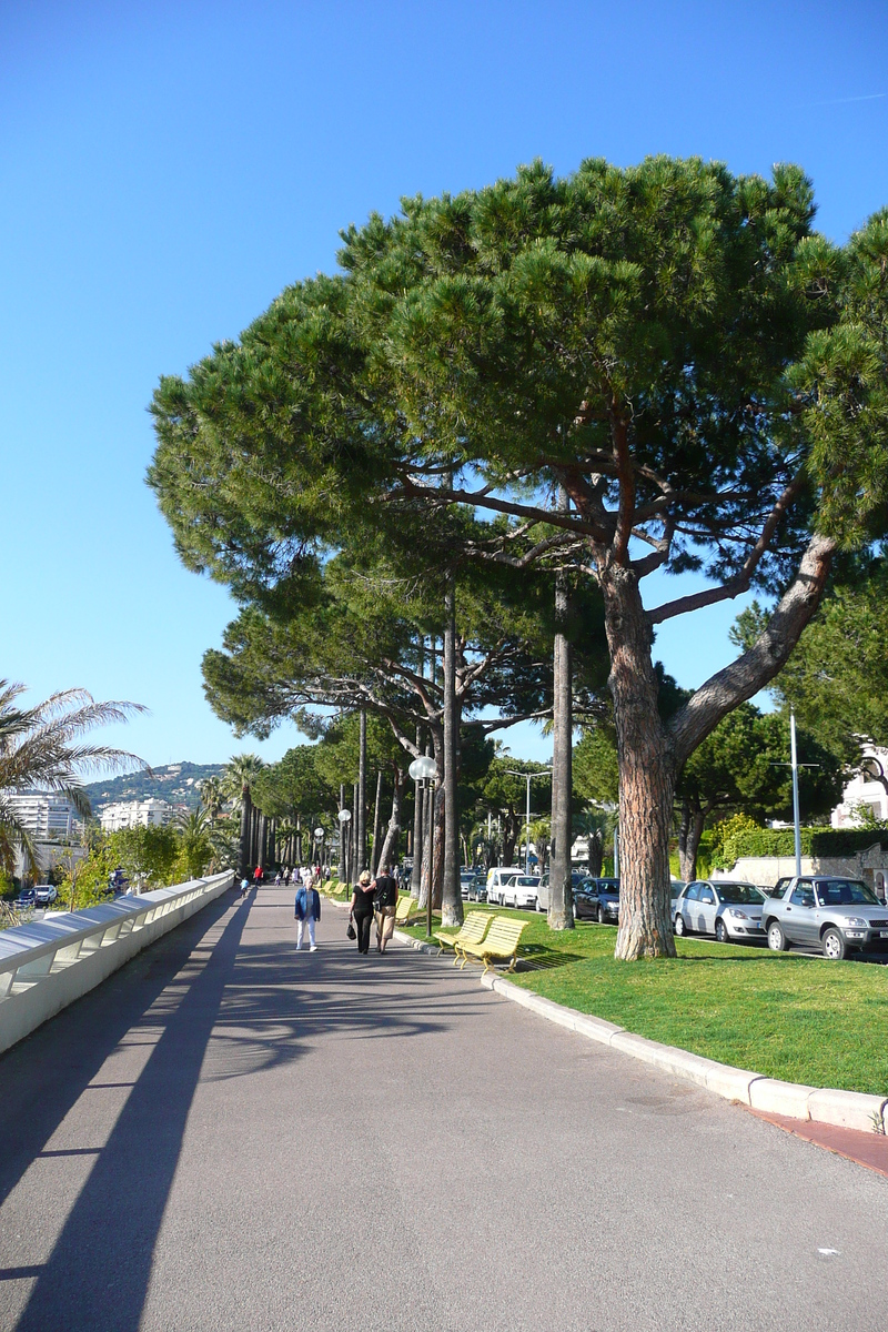 照片 法国(France) 戛纳(Cannes) 皮埃尔·康托港(Port Pierre Canto) 2008-05 41