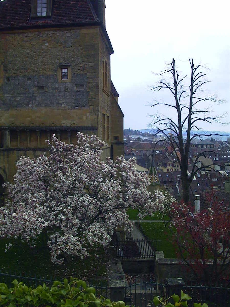 照片 瑞士(Switzerland) 纳沙泰尔(Neuchatel) 1999-04 1