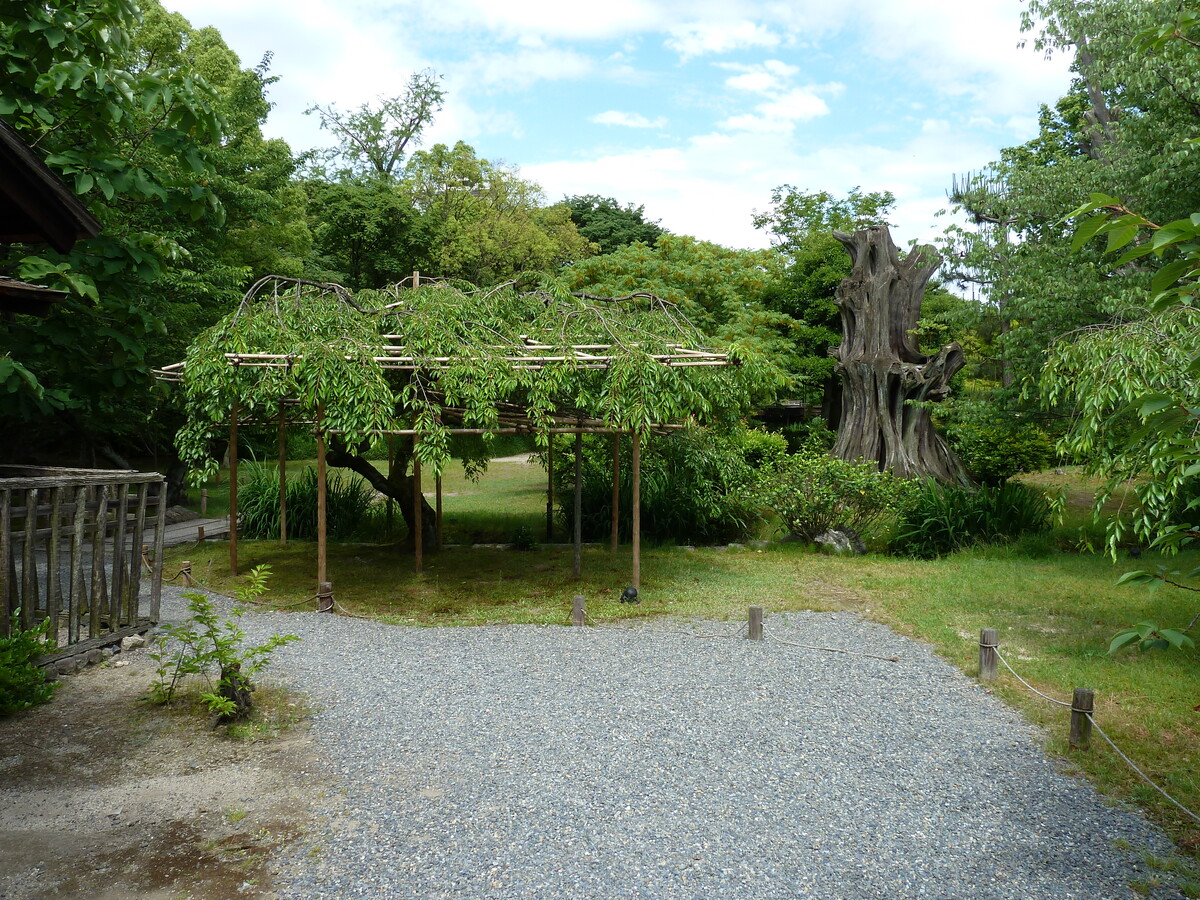 照片 日本(Japan) 京都(Kyoto) 涉成园(Shosei en Garden) 2010-06 79