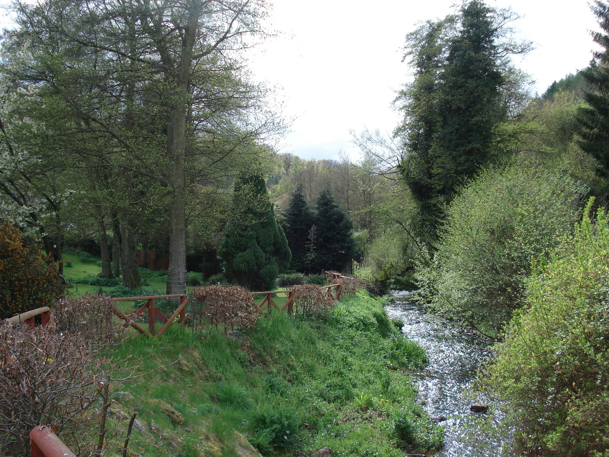 照片 英国(United Kingdom) 廷特恩(Tintern) 2006-05 52