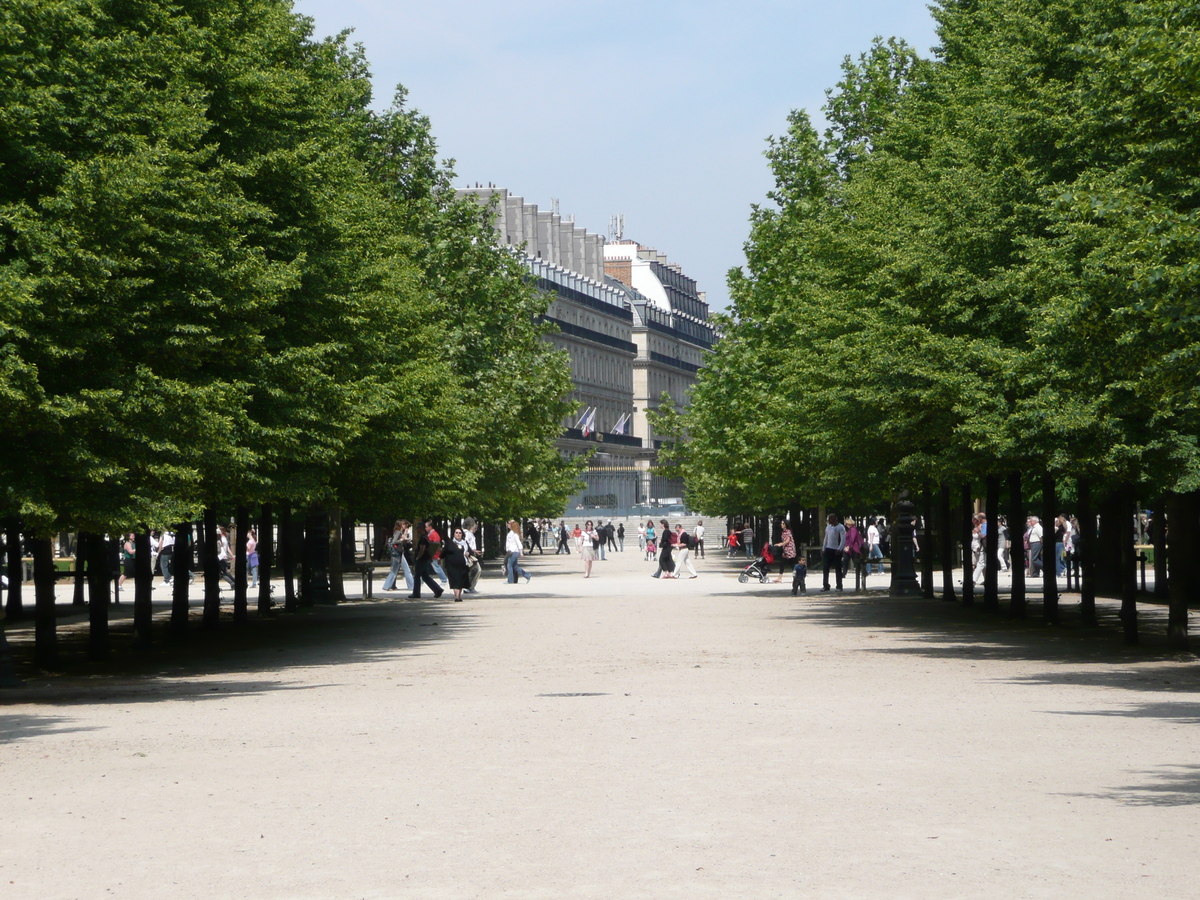 照片 法国(France) 巴黎(Paris) 杜乐丽花园(Garden of Tuileries) 2007-05 374