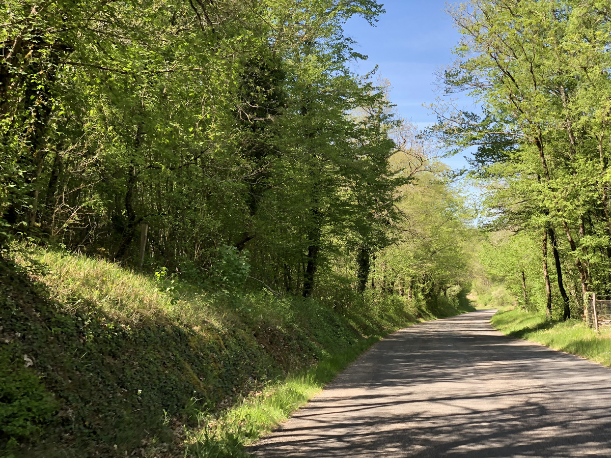 照片 法国(France) 弗卢瓦拉克(Floirac) 2018-04 132