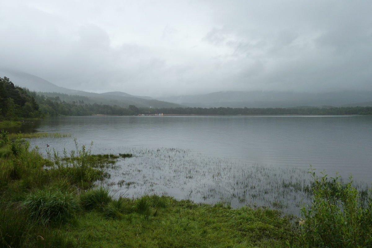 照片 英国(United Kingdom) 苏格兰(Scotland) 福里斯至阿维莫尔公路(Forres to Aviemore road) 2011-07 17
