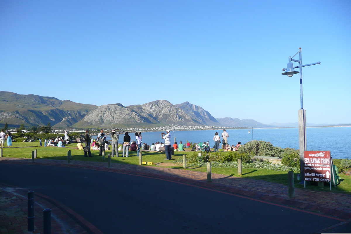 照片 南非(South Africa) 赫曼努斯(Harmanus) 2008-09 98