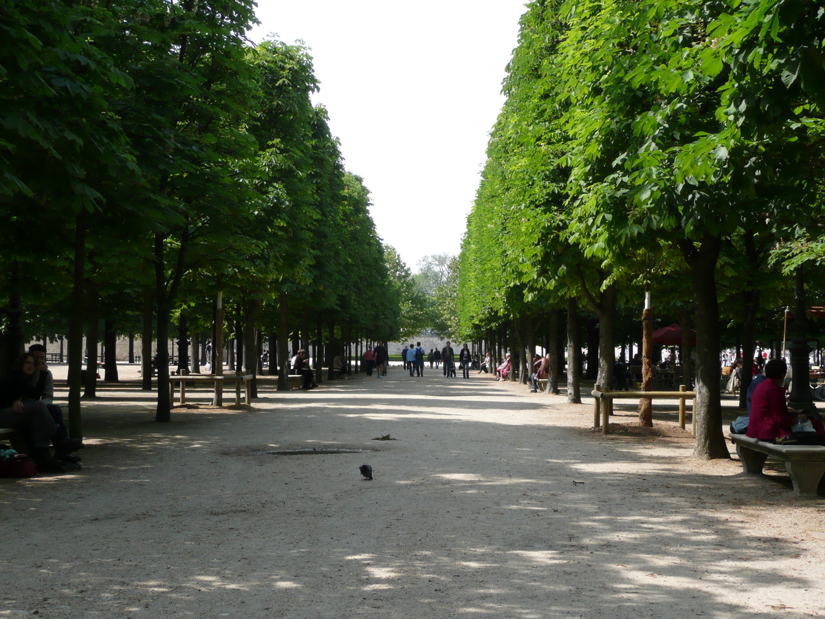 照片 法国(France) 巴黎(Paris) 杜乐丽花园(Garden of Tuileries) 2007-05 380