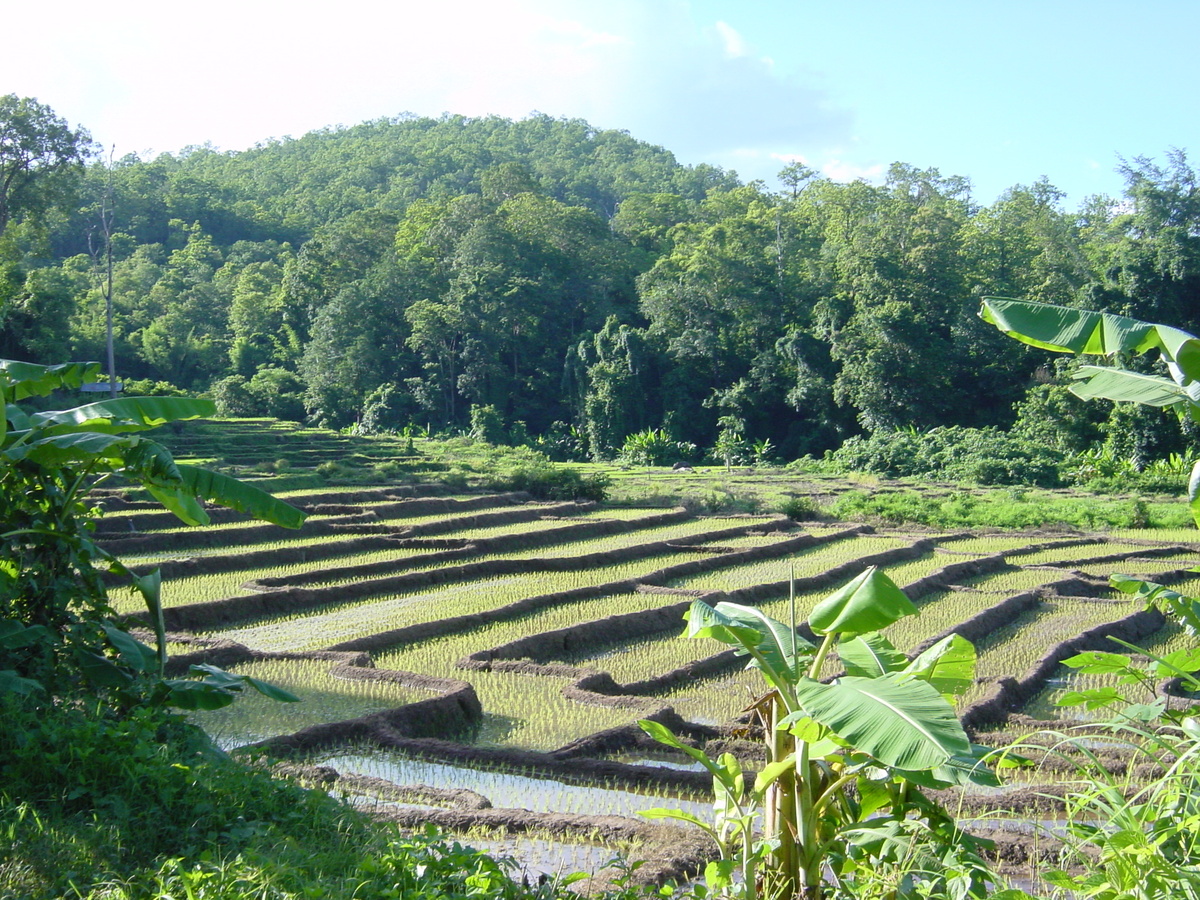 照片 泰国(Thailand) 夜丰颂(Mae Hong Son) 2003-07 56
