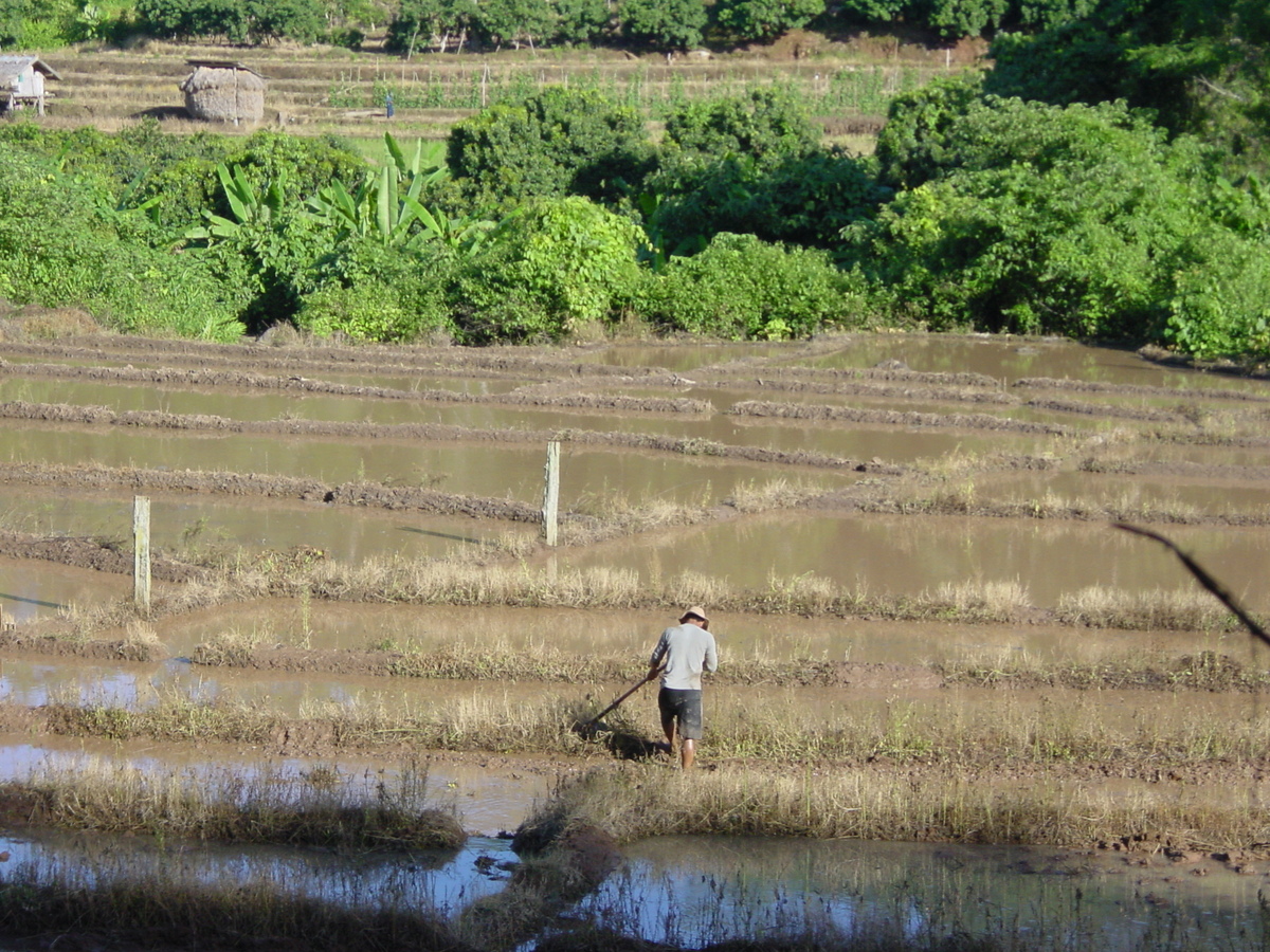 照片 泰国(Thailand) 夜丰颂(Mae Hong Son) 2003-07 72
