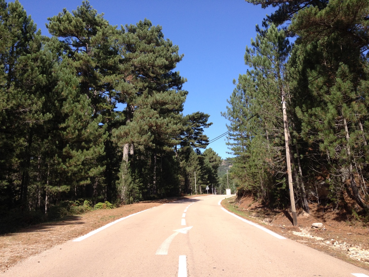 照片 法国(France) 科西嘉岛(Corsica) 奥斯佩达莱森林(L'ospedale Forest) 2012-09 34