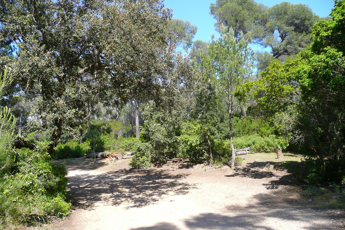 照片 法国(France) 波克罗勒岛(Porquerolles Island) 库尔塔德平原(Plaine de la courtade) 2008-05 21