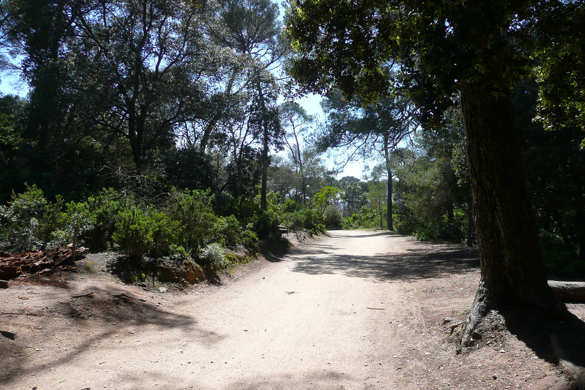 照片 法国(France) 波克罗勒岛(Porquerolles Island) 库尔塔德平原(Plaine de la courtade) 2008-05 31