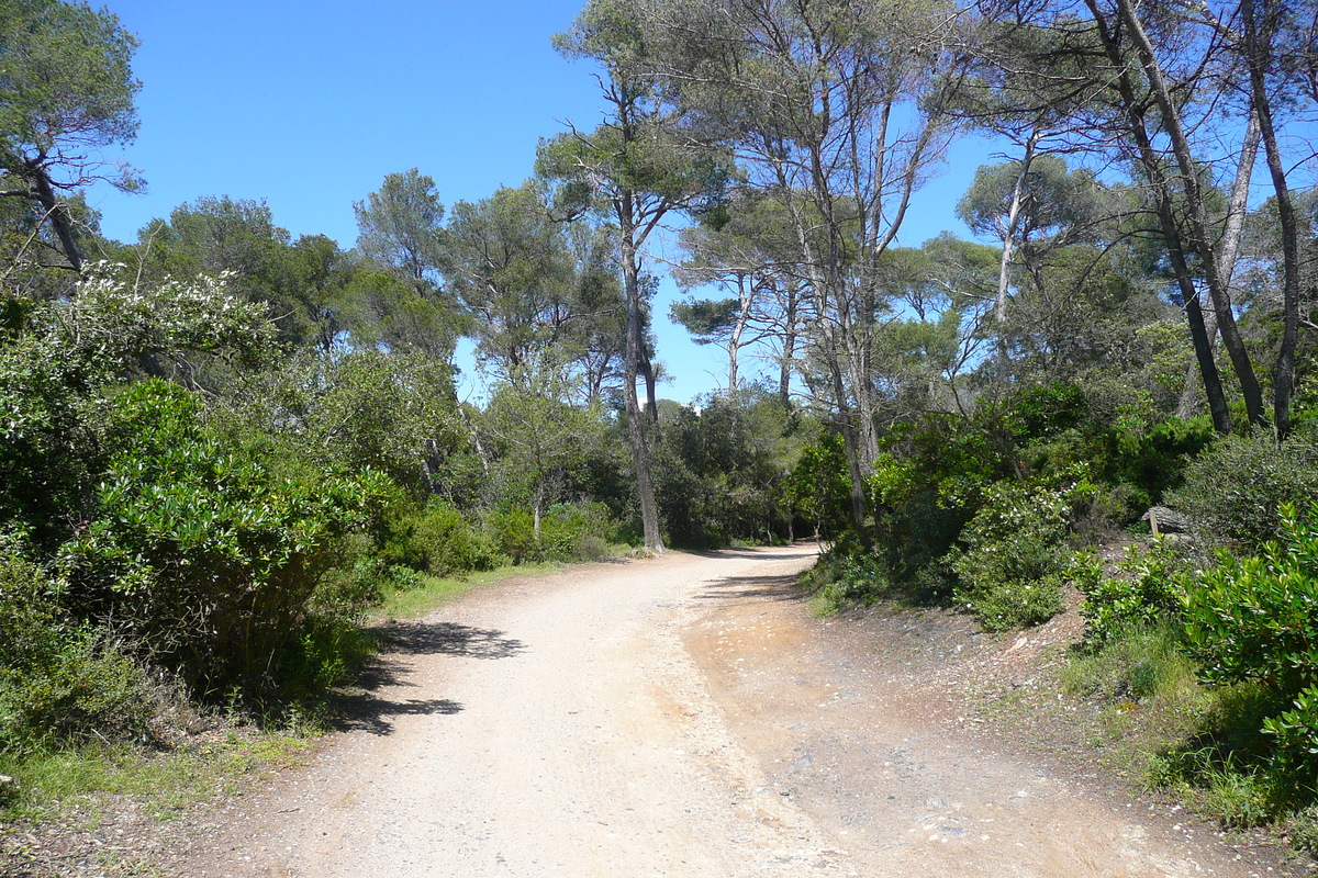 照片 法国(France) 波克罗勒岛(Porquerolles Island) 库尔塔德平原(Plaine de la courtade) 2008-05 20