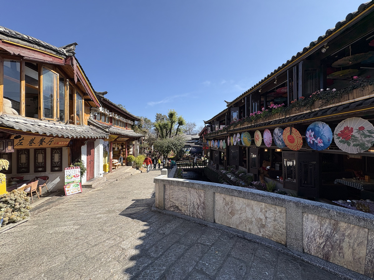 照片 中国(China) 丽江(Lijiang) 2026-01 219