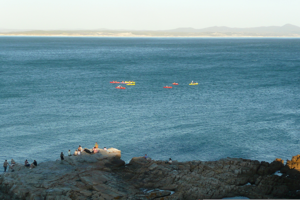 照片 南非(South Africa) 赫曼努斯(Harmanus) 2008-09 179