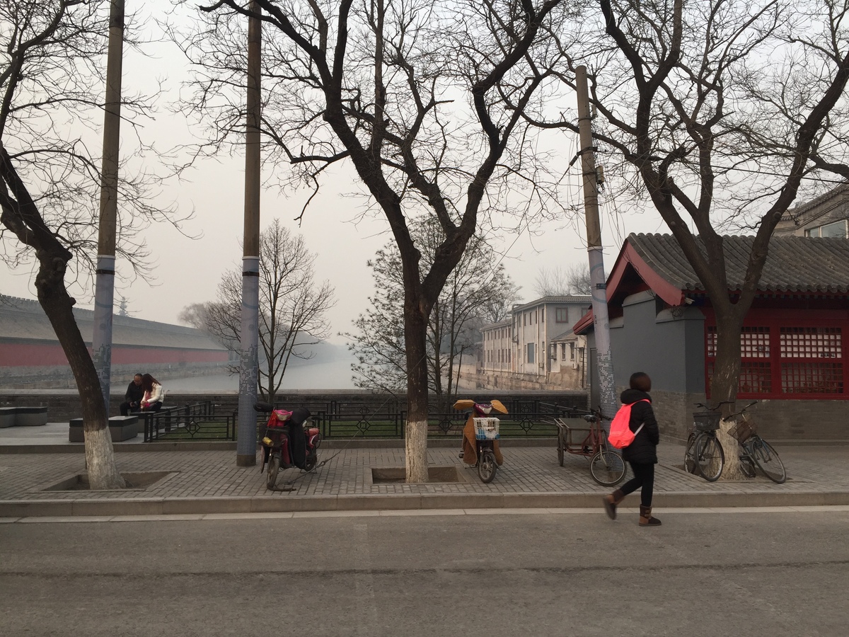 照片 中国(China) 北京(Beijing) 2015-12 12