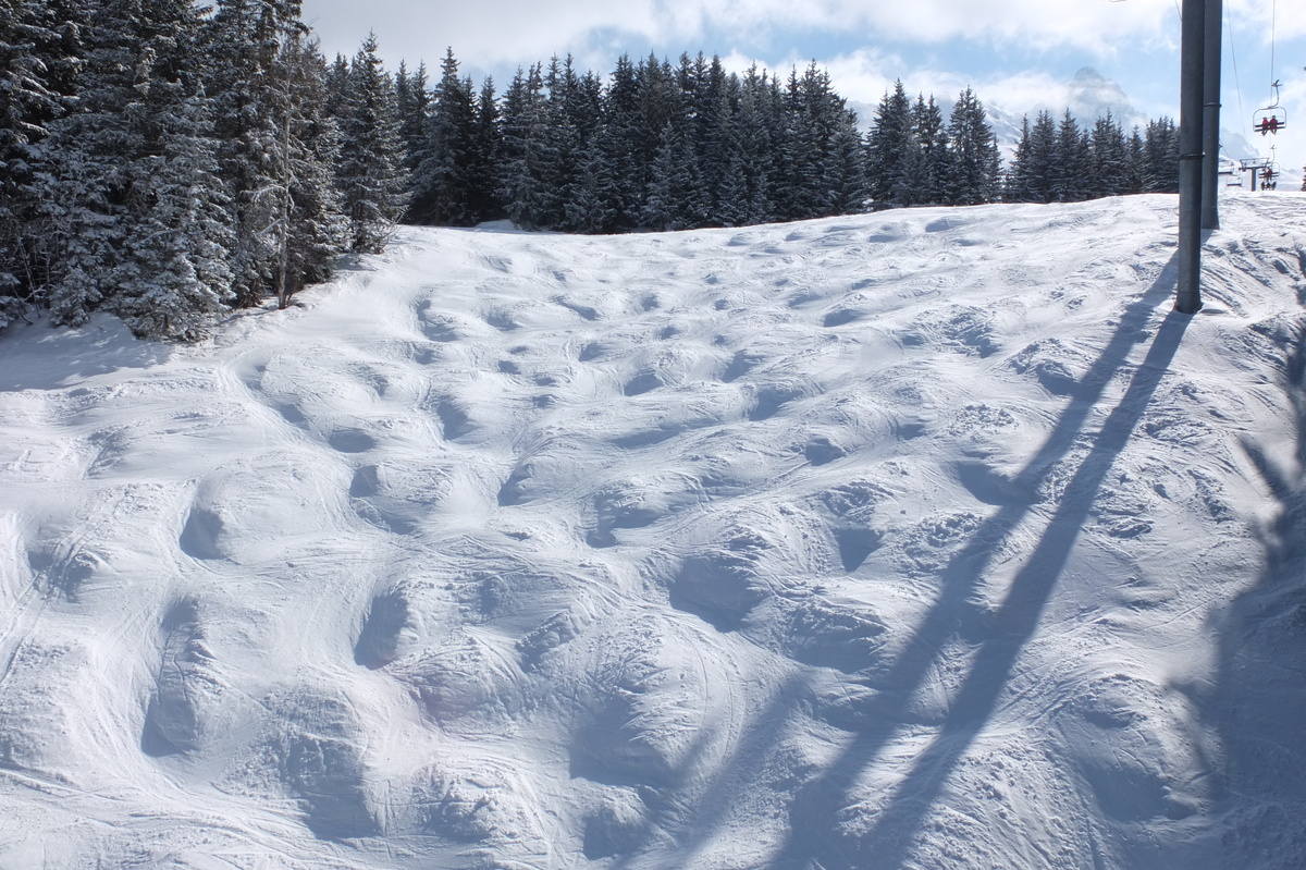 照片 法国(France) 三峡谷滑雪场(Les 3 Vallees) 2013-03 48