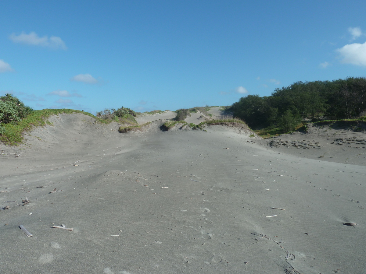 照片 斐济(Fiji) 辛加东卡沙丘国家公园(Sigatoka sand dunes national park) 2010-05 16