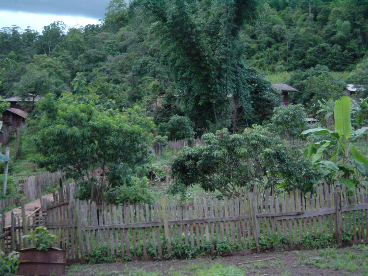 照片 泰国(Thailand) 夜丰颂(Mae Hong Son) 2003-07 64