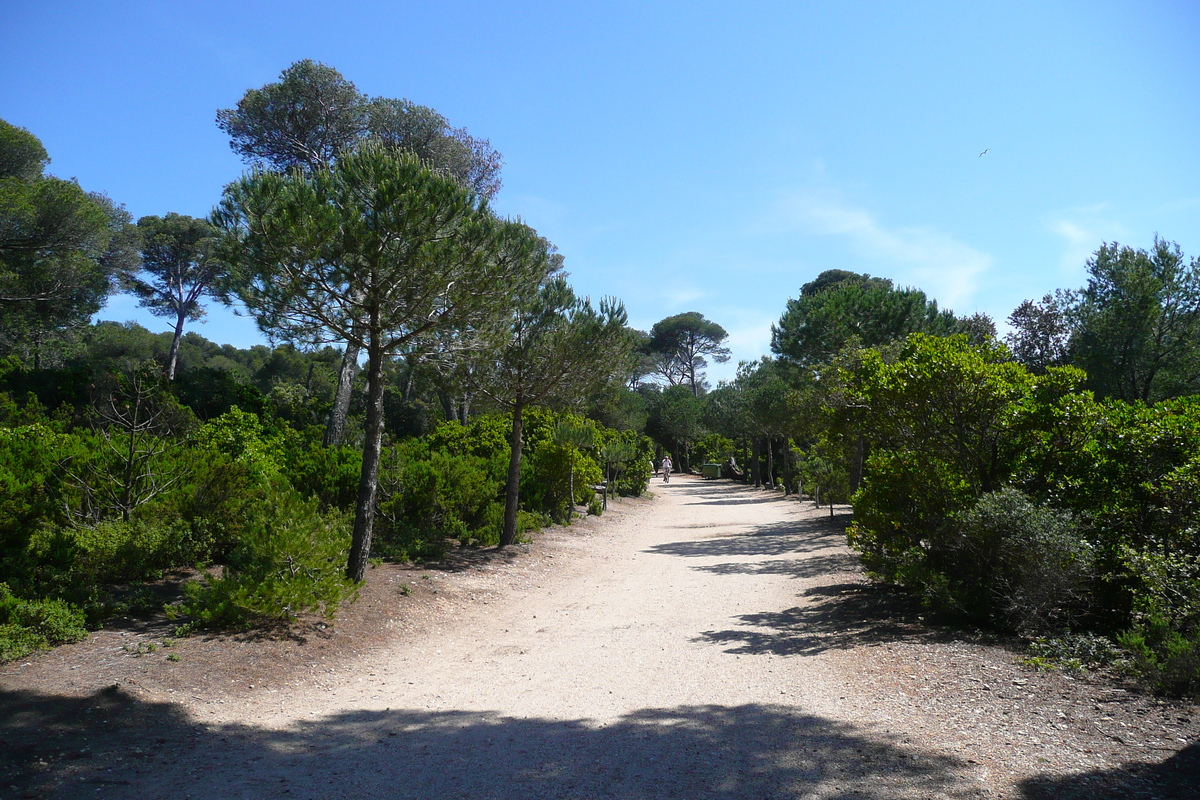 照片 法国(France) 波克罗勒岛(Porquerolles Island) 库尔塔德平原(Plaine de la courtade) 2008-05 2