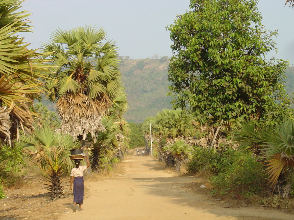 照片 缅甸(Myanmar) 茂马干海滩(Maungmagan beach) 2005-01 22