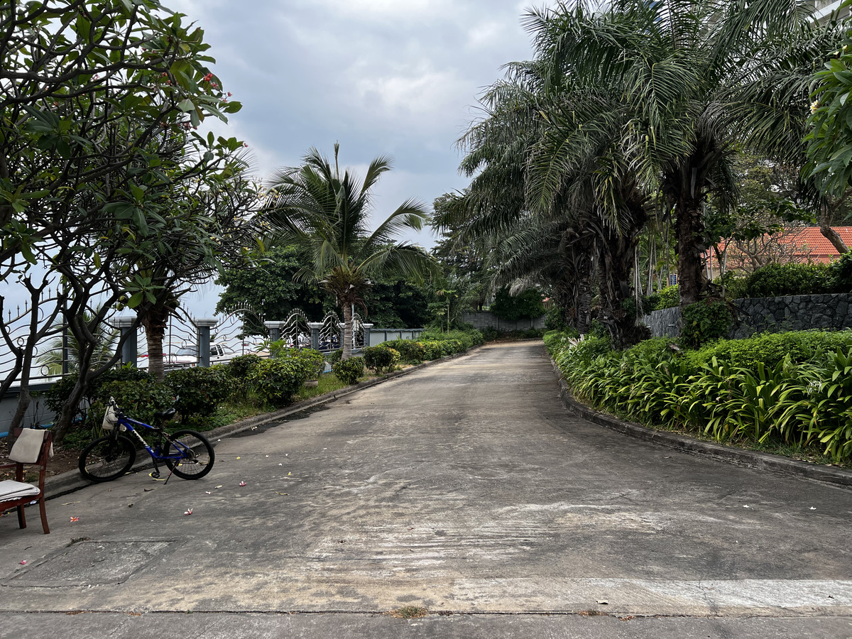 照片 泰国(Thailand) 芭提雅(Pattaya) 2023-01 45