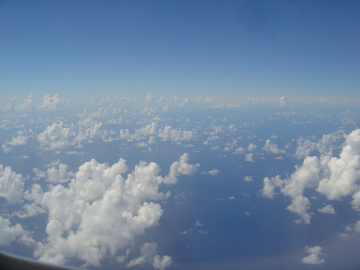 照片 波利尼西亚(Polynesia) 莫雷阿岛(Moorea) 2006-04 96