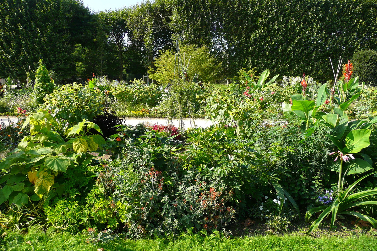 照片 法国(France) 巴黎(Paris) 巴黎植物园(Jardin des Plantes) 2007-08 8
