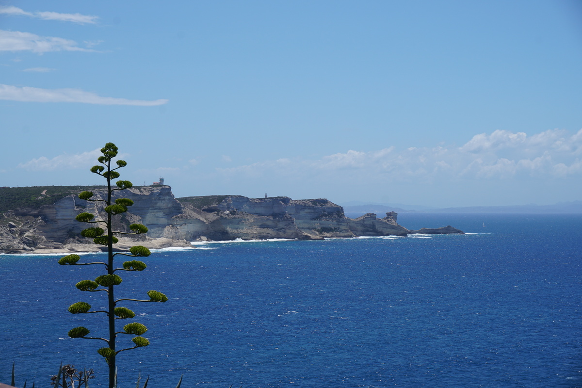照片 法国(France) 科西嘉岛(Corsica) 博尼法乔(Bonifacio) 2017-07 45