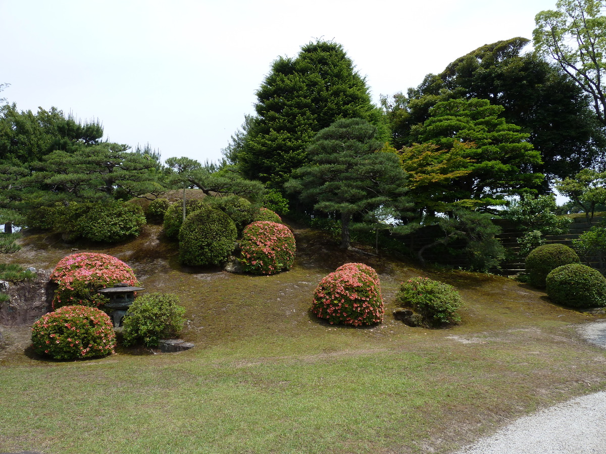 照片 日本(Japan) 京都(Kyoto) 二条城(Nijo Castle) 本丸御殿(Honmaru Palace) 2010-06 43