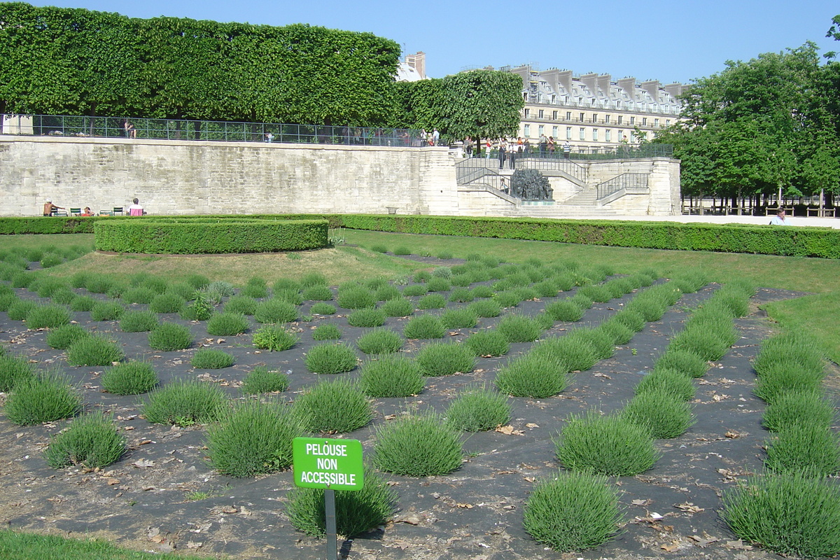 照片 法国(France) 巴黎(Paris) 杜乐丽花园(Garden of Tuileries) 2007-05 97