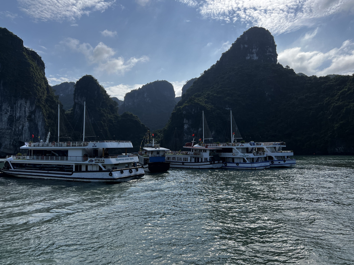 照片 越南(Vietnam) 下龙湾(Ha Long Bay) 2024-01 22