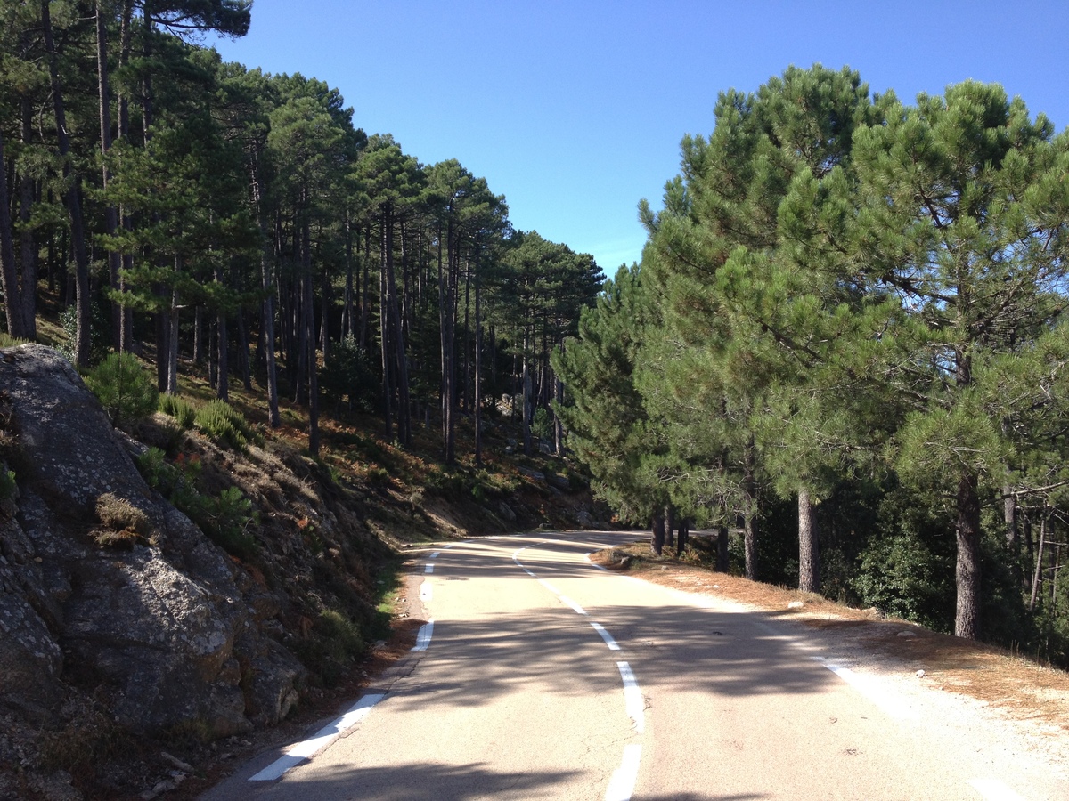 照片 法国(France) 科西嘉岛(Corsica) 奥斯佩达莱森林(L'ospedale Forest) 2012-09 10