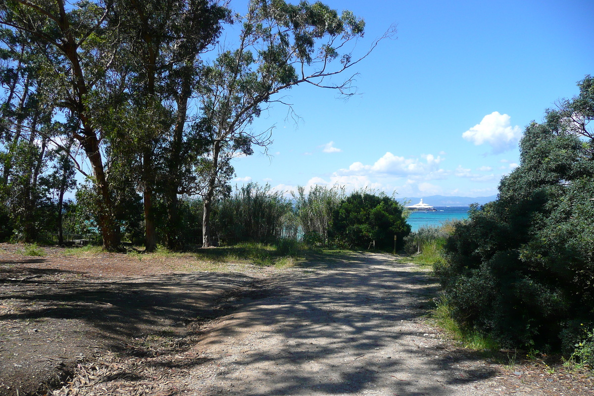 照片 法国(France) 波克罗勒岛(Porquerolles Island) 库尔塔德平原(Plaine de la courtade) 2008-05 39