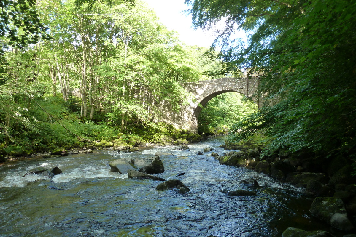 照片 英国(United Kingdom) 苏格兰(Scotland) 亨特利(Huntly) 2011-07 8
