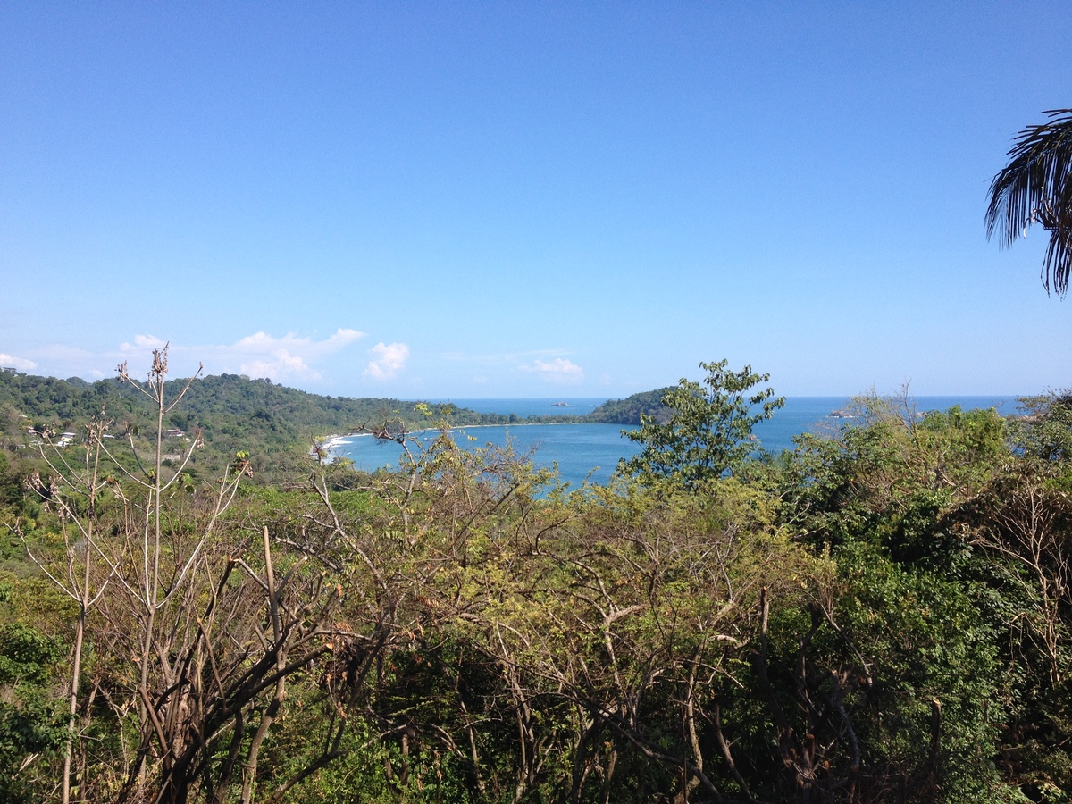 照片 哥斯达黎加(Costa Rica) 曼努埃尔安东尼奥(Manuel Antonio) 2015-03 417