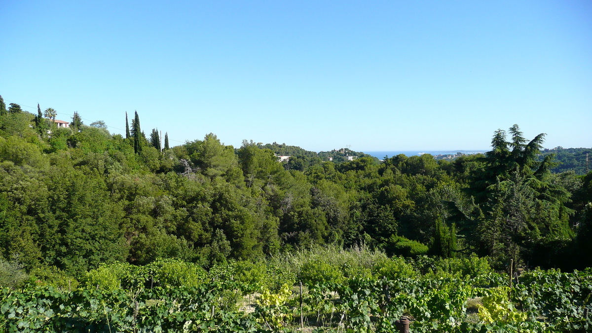 照片 法国(France) 拉戈德(La Gaude) 2007-07 71