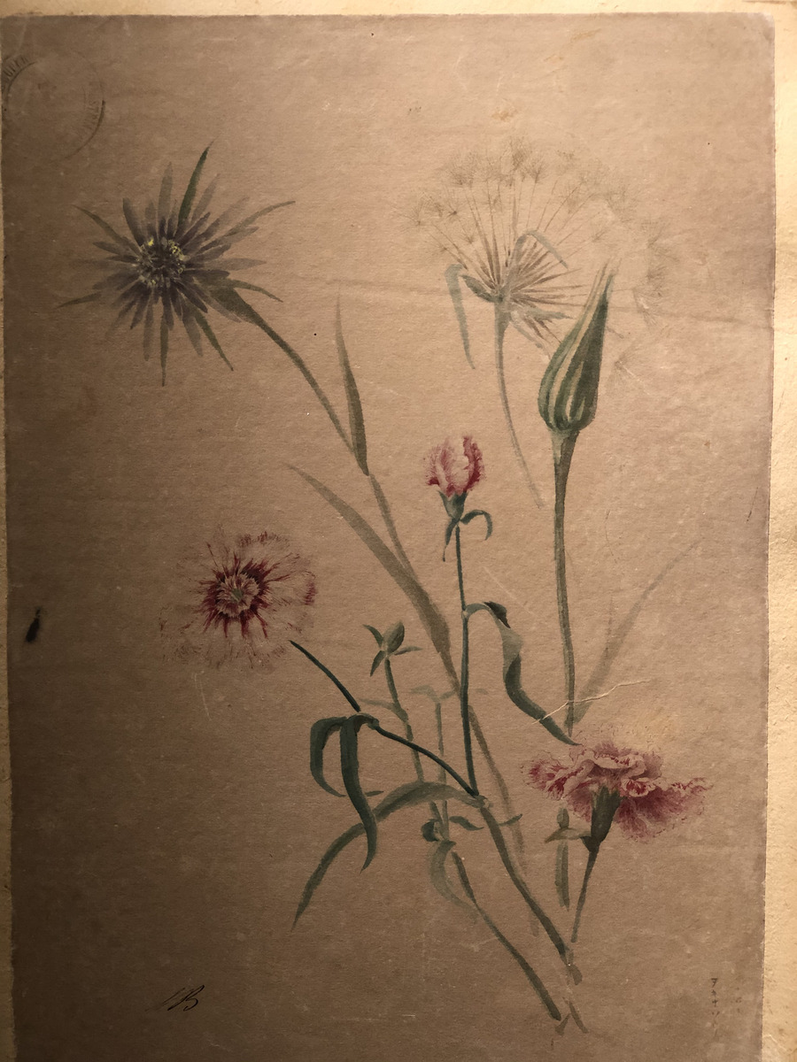 照片 意大利(Italy) 西西里岛(Sicily) 巴勒莫(Palermo) 诺曼王宫(Palazzo dei Normanni) 2020-02 6