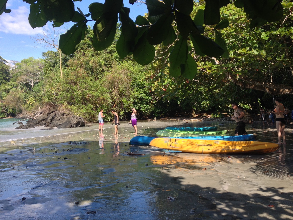 照片 哥斯达黎加(Costa Rica) 曼努埃尔安东尼奥(Manuel Antonio) 2015-03 482