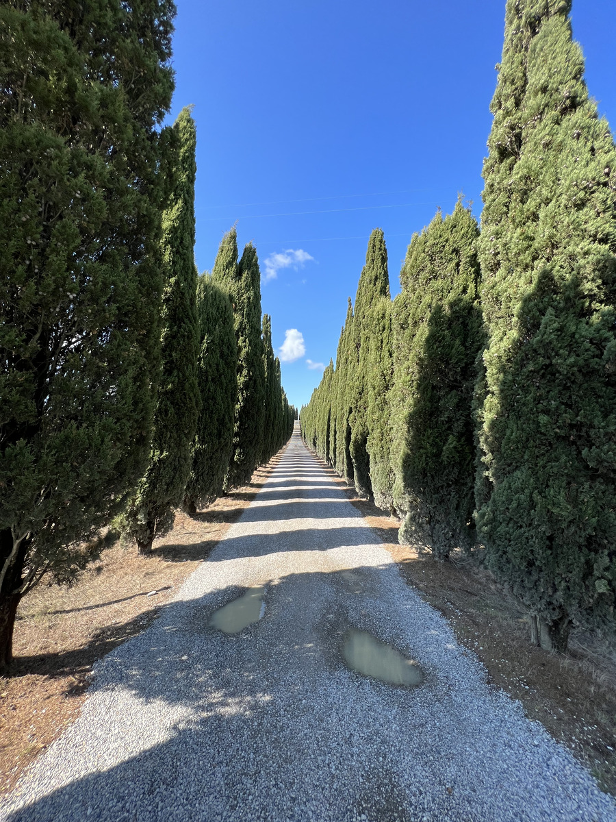 照片 意大利(Italy) 托斯卡纳(Tuscany) 2021-09 27