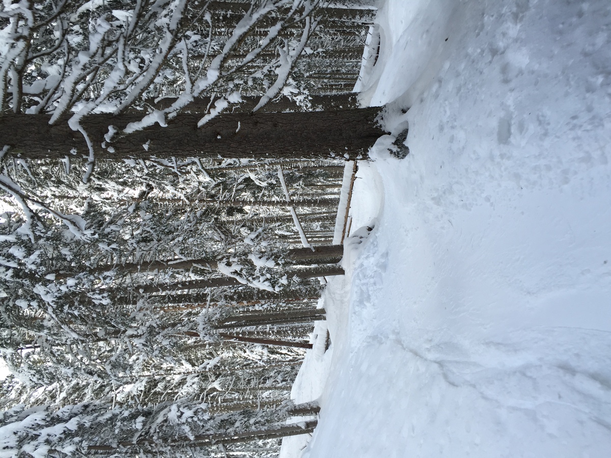 照片 法国(France) 梅杰夫(Megeve) 2016-02 91