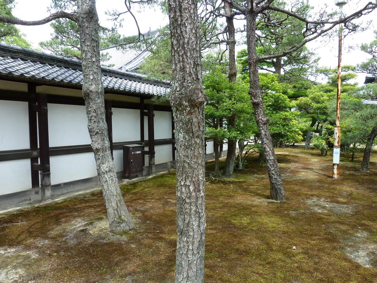 照片 日本(Japan) 京都(Kyoto) 二条城(Nijo Castle) 本丸御殿(Honmaru Palace) 2010-06 61