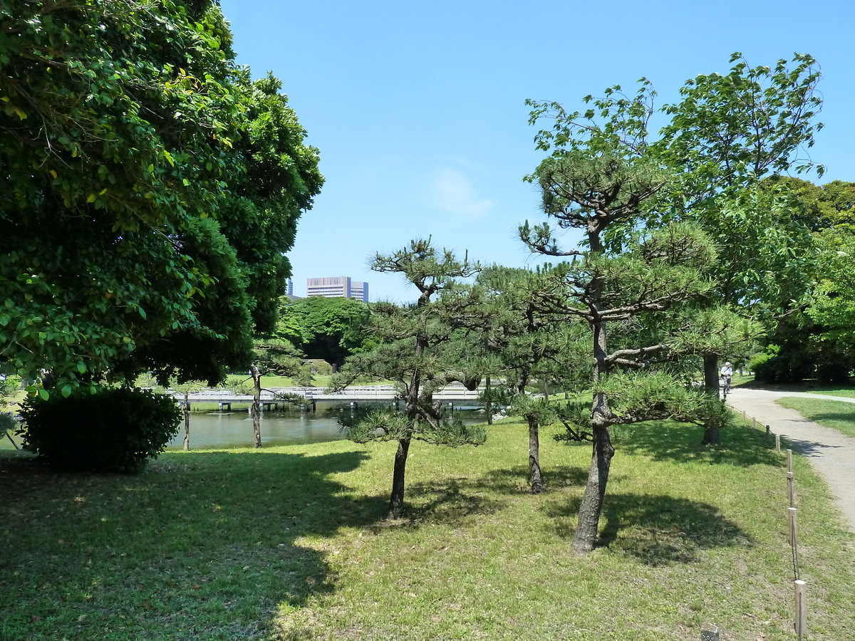 照片 日本(Japan) 东京(Tokyo) 滨离宫恩赐庭园(Hama rikyu Gardens) 2010-06 115