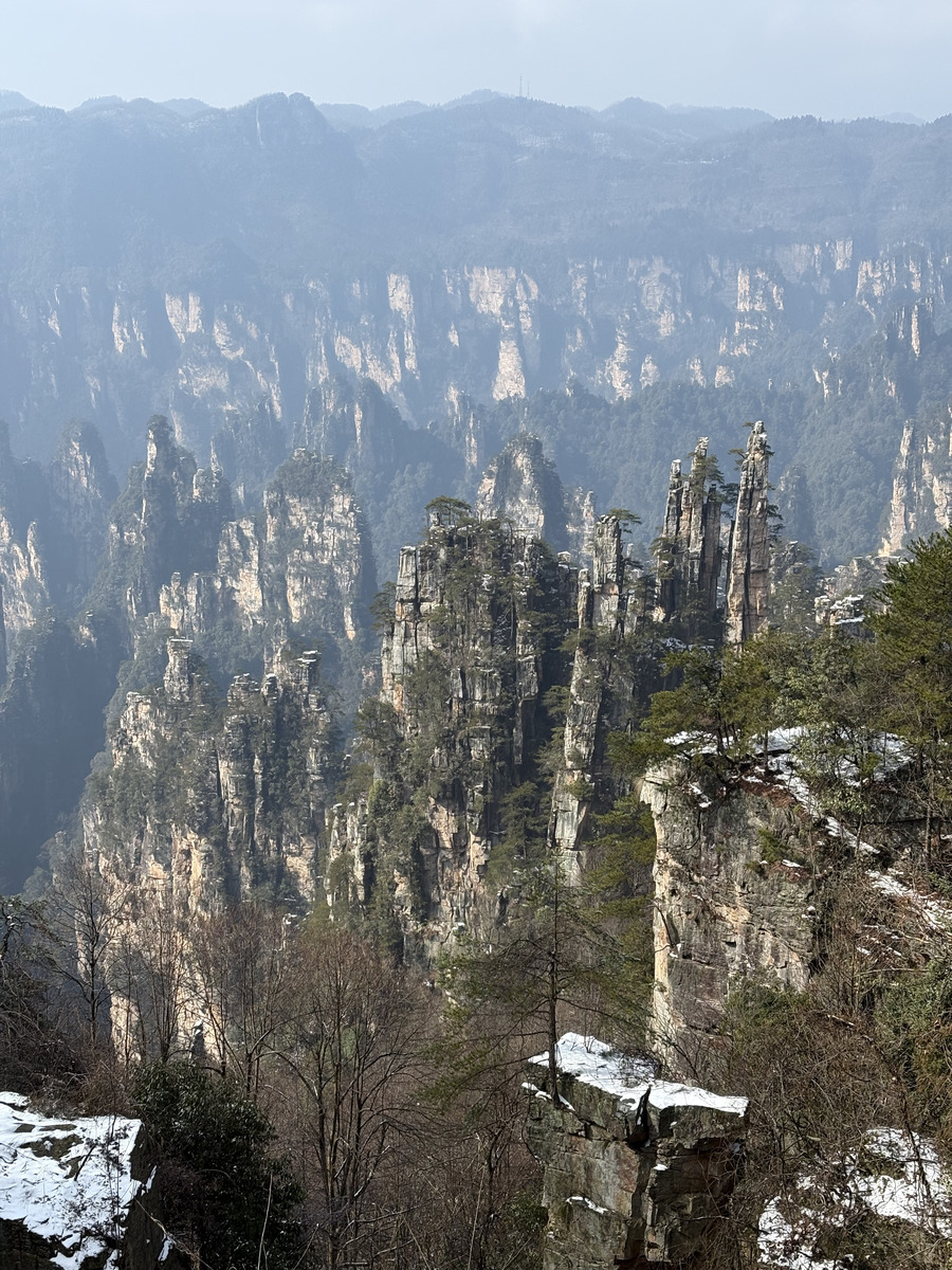 照片 中国(China) 张家界(Zhangjiajie) 天子山(Tianzi Mountain) 2026-01 264