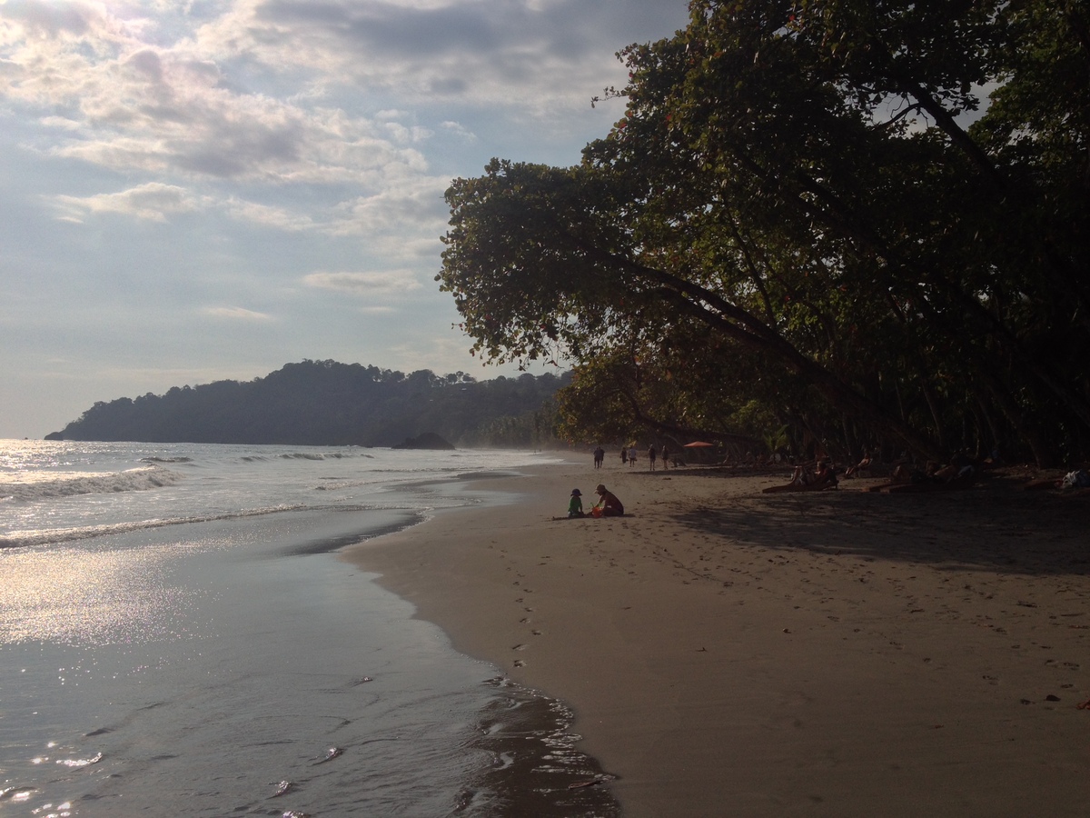 照片 哥斯达黎加(Costa Rica) 曼努埃尔安东尼奥(Manuel Antonio) 2015-03 135