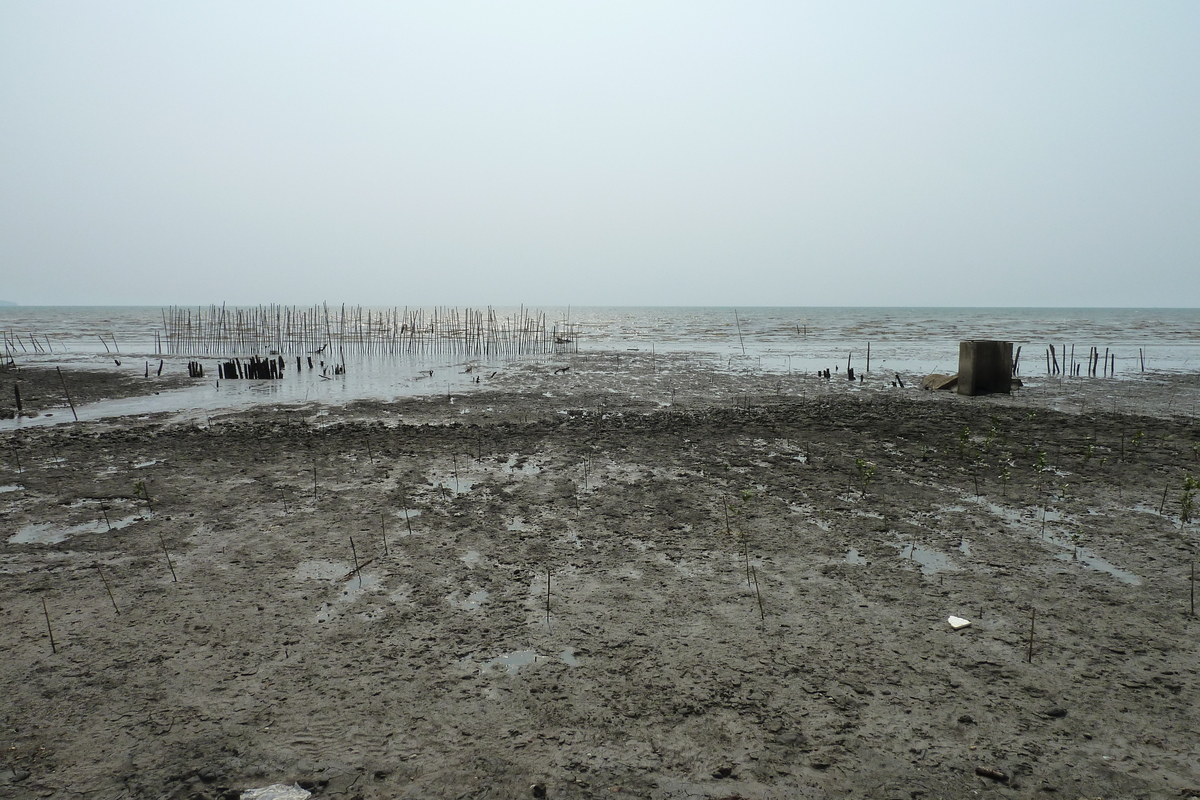 照片 泰国(Thailand) 象岛(Ko Chang) 渡轮(Ferry) 2011-02 3