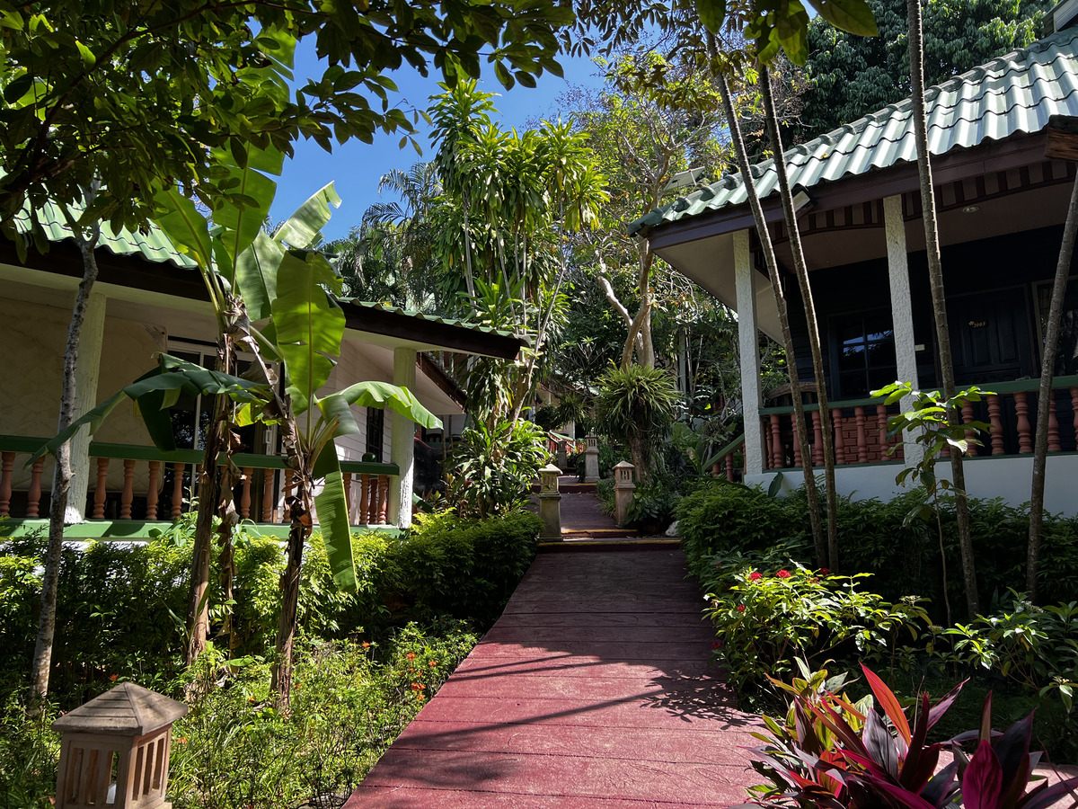 照片 泰国(Thailand) 普吉岛(Phuket) 卡塔海滩(Kata Beach) 卡塔花园度假村(Kata Garden Resort) 2021-12 12